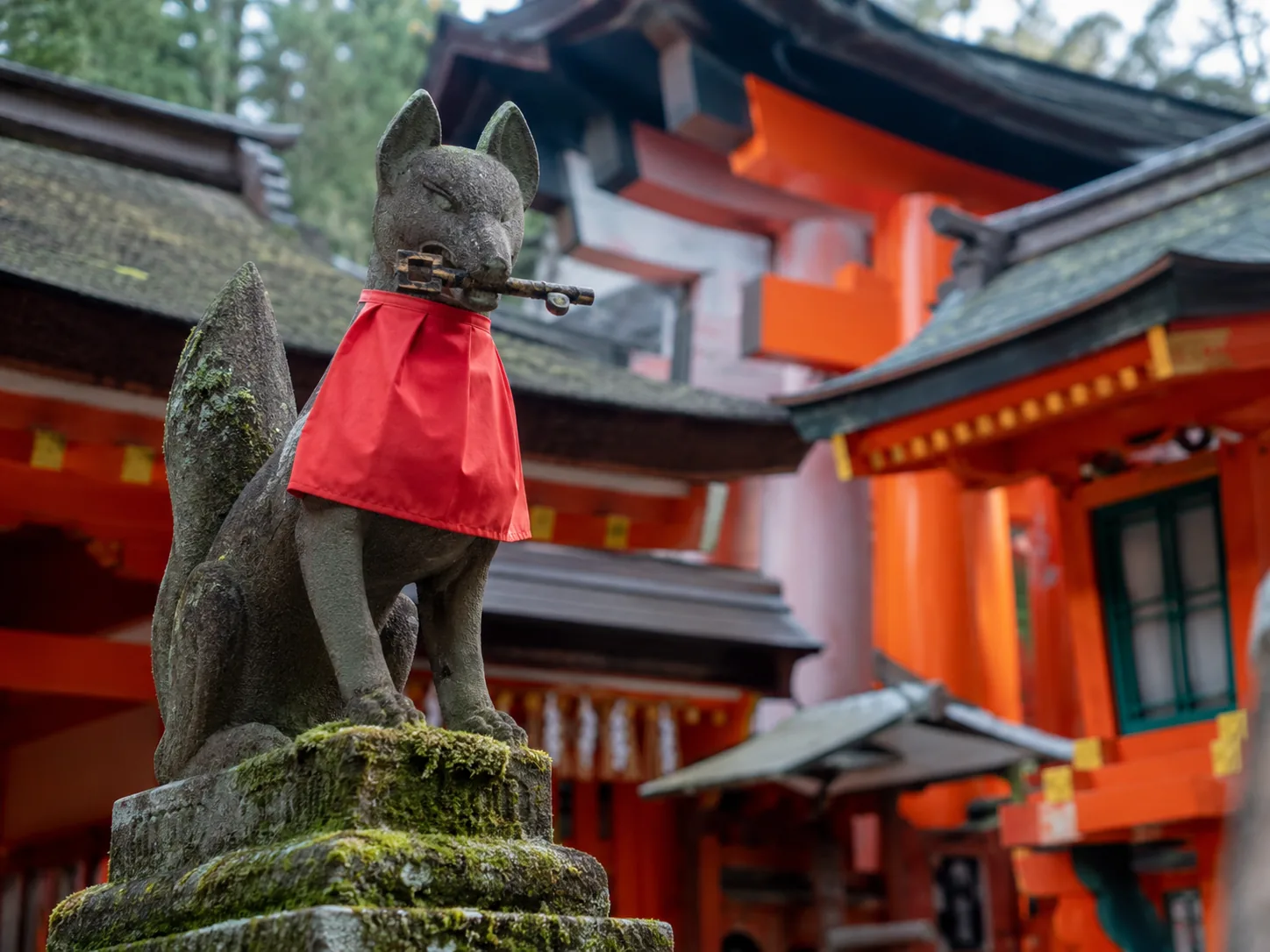 Fox statue (kitsune) guarding the shrine with rice sheaf in its mouth